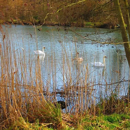 Du Chateau Hondainville